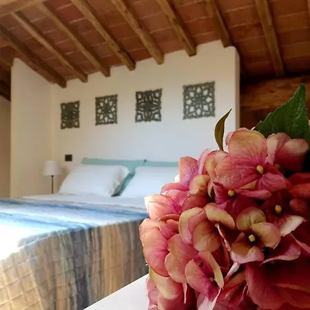 Casa Tecla Alle Mura Della Citta Appartamento